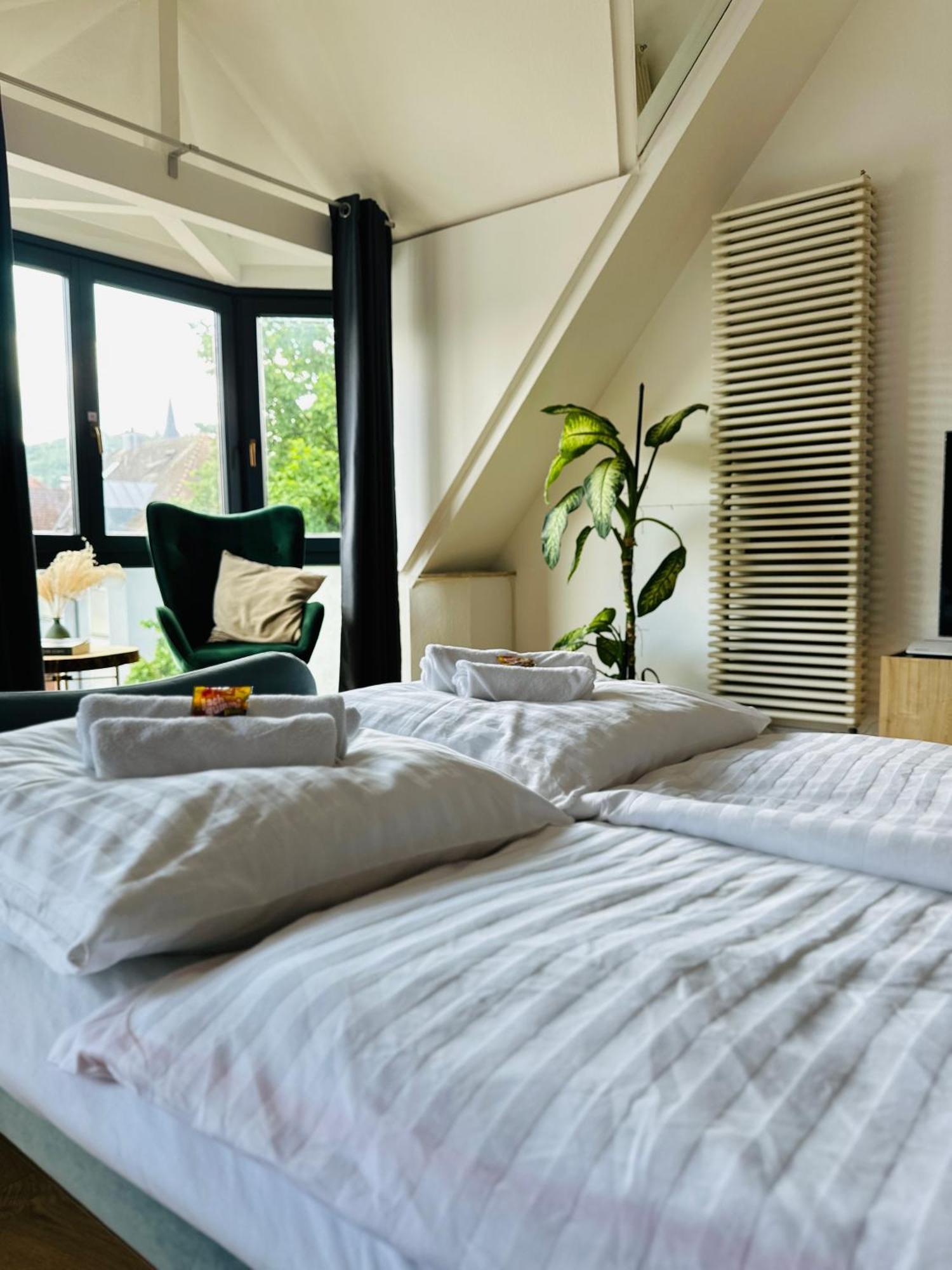 Amao-Green I 90Qm I Penthouse Maisonette Mit Rooftop I City Center I King-Size Betten Lahr  Zewnętrze zdjęcie